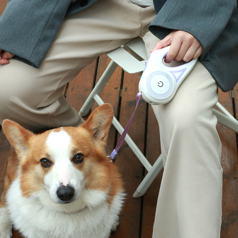 Dog Leash Retractable Leash And Dog Collar Spotlight Automatic Small Medium Dogs Pet Product